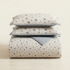 Premium Quilted Bedspread Set with Pillow Covers | Floral Printed Bed Cover | RVS Decor (Cream)